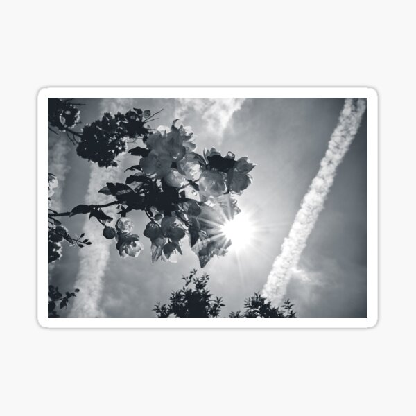 Sunhine Sticker