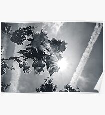 Sunhine Poster