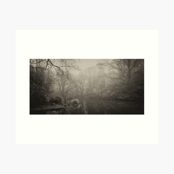 Item preview, Duckpond - Misted In designed and sold by Geoff Smith.