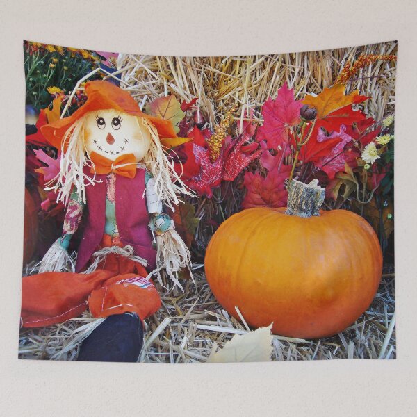Item preview, Little Mister Scarecrow designed and sold by Frankie Cat Photography.