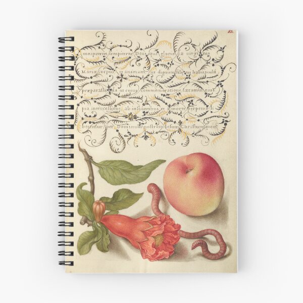 Item preview, Pomegranate, Worm, and Peach: Botanical Illustration from a Medieval Illuminated Manuscript designed and sold by IlluminatedPage.