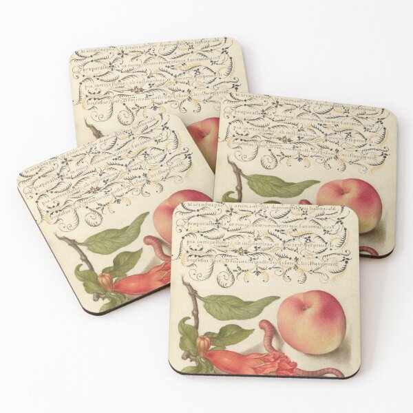 Item preview, Pomegranate, Worm, and Peach: Botanical Illustration from a Medieval Illuminated Manuscript designed and sold by IlluminatedPage.