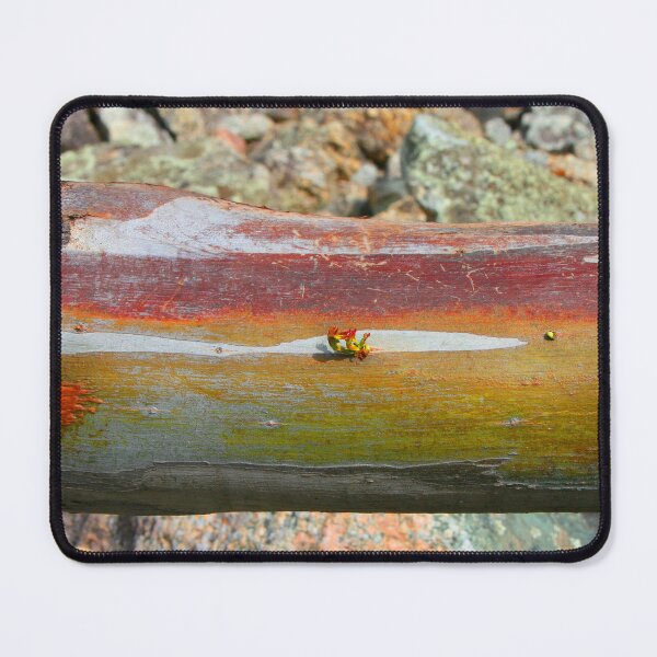 Item preview, Emerging designed and sold by Karen  Todman -Aroca Designs-.