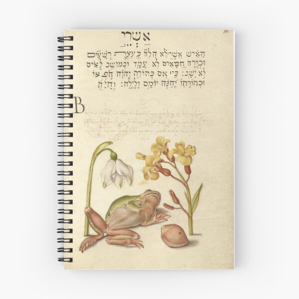 Item preview, Spring Snowflake, Tree Frog, Wallflower, and Marine Mollusk , Ladybird, English Walnut, and Marine Mollusk  : Naturalist Illustration from a Medieval Illuminated Manuscript designed and sold by IlluminatedPage.