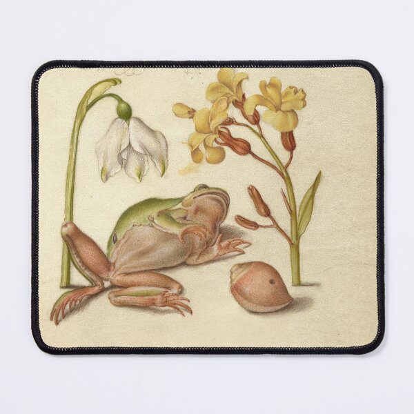 Item preview, Spring Snowflake, Tree Frog, Wallflower, and Marine Mollusk , Ladybird, English Walnut, and Marine Mollusk : Naturalist Illustration from a Medieval Illuminated Manuscript designed and sold by IlluminatedPage.