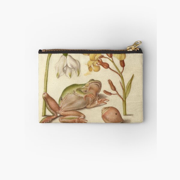 Item preview, Spring Snowflake, Tree Frog, Wallflower, and Marine Mollusk , Ladybird, English Walnut, and Marine Mollusk  : Naturalist Illustration from a Medieval Illuminated Manuscript designed and sold by IlluminatedPage.