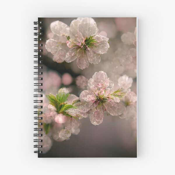 Item preview, Cherry Blossom designed and sold by Gustavo Navarro.