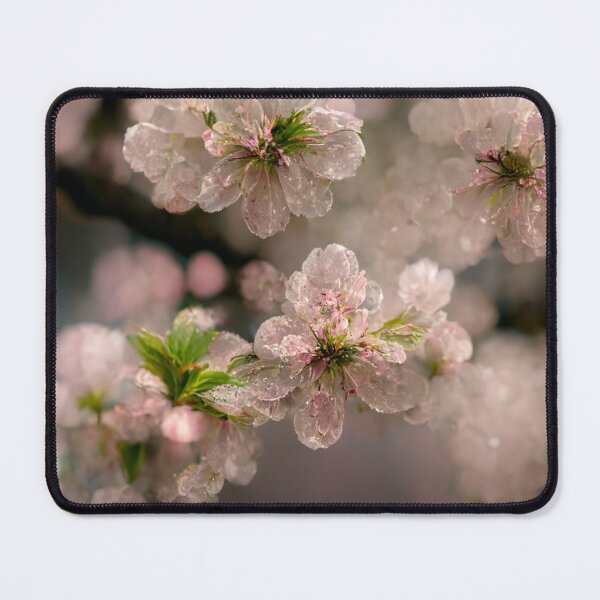 Item preview, Cherry Blossom designed and sold by Gustavo Navarro.