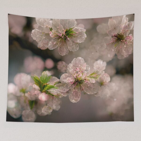 Item preview, Cherry Blossom designed and sold by Gustavo Navarro.