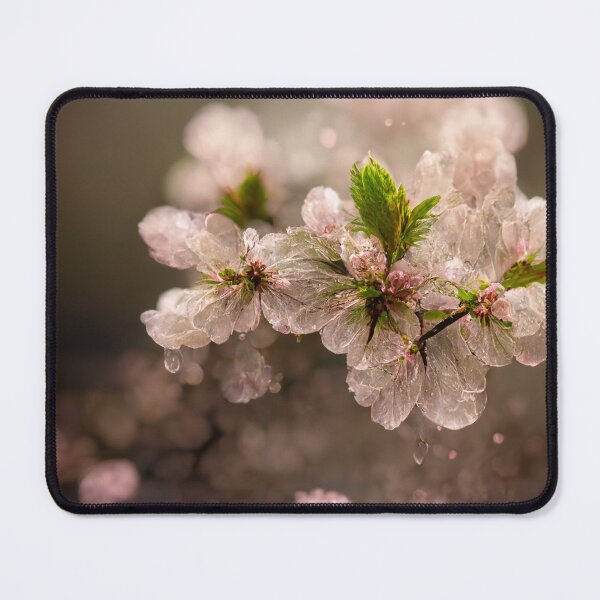 Item preview, Cherry Blossom designed and sold by Gustavo Navarro.