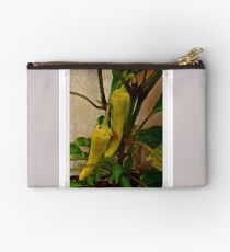 #capsicum Studio Pouch
