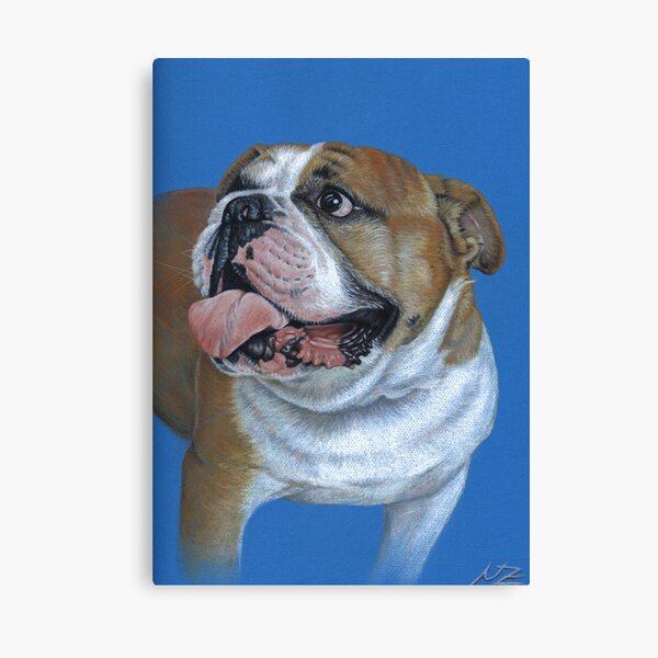 Wandbilder Englische Bulldogge Redbubble