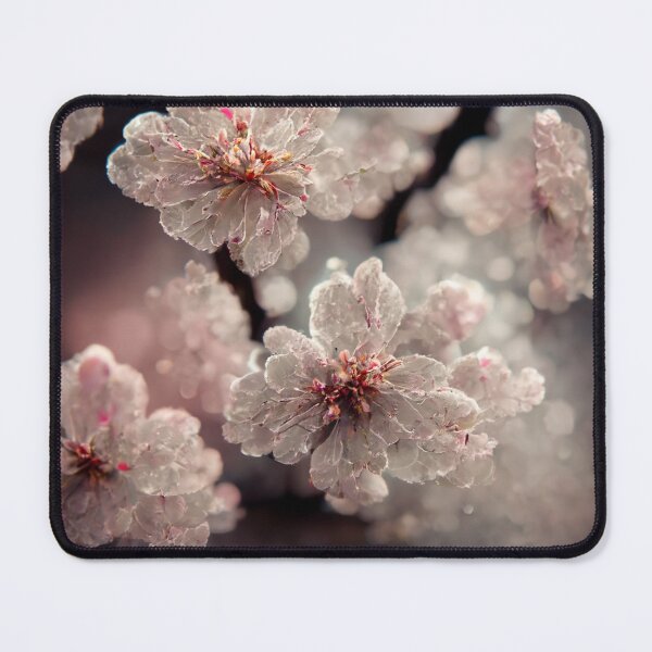 Item preview, Cherry Blossom designed and sold by Gustavo Navarro.