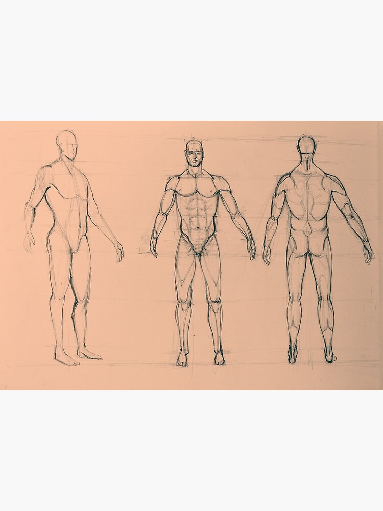 1,307 Men Body Side View Sketch Images, Stock Photos, 3D objects, & Vectors  | Shutterstock