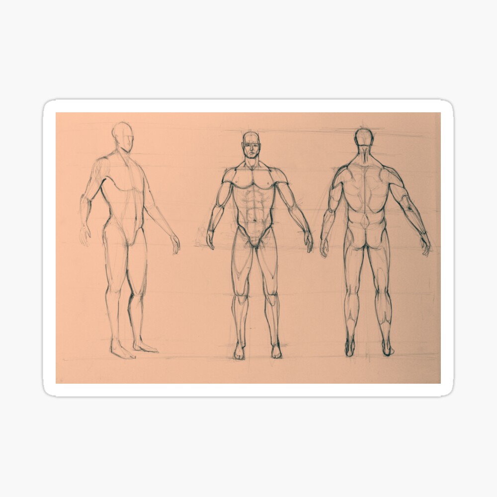 Buy Male Body Sketch Online In India India | lupon.gov.ph