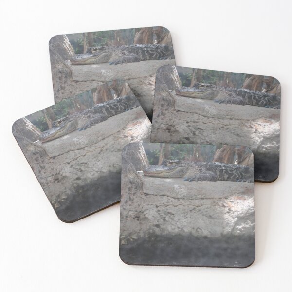 Item preview, Cute Gator Closeup at Tennessee Aquarium  designed and sold by Silver Sky by Janet.