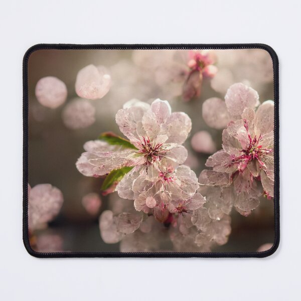 Item preview, Cherry Blossom designed and sold by Gustavo Navarro.
