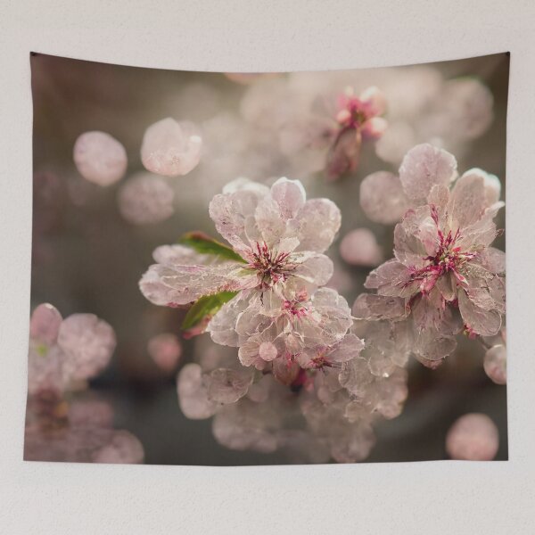 Item preview, Cherry Blossom designed and sold by Gustavo Navarro.