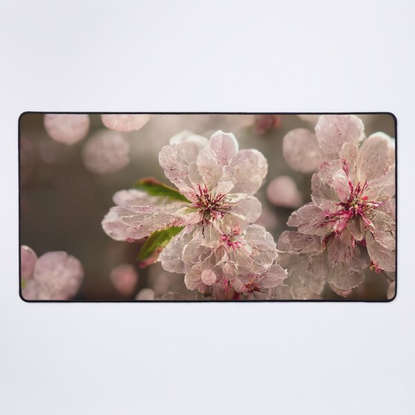 Item preview, Cherry Blossom designed and sold by Gustavo Navarro.