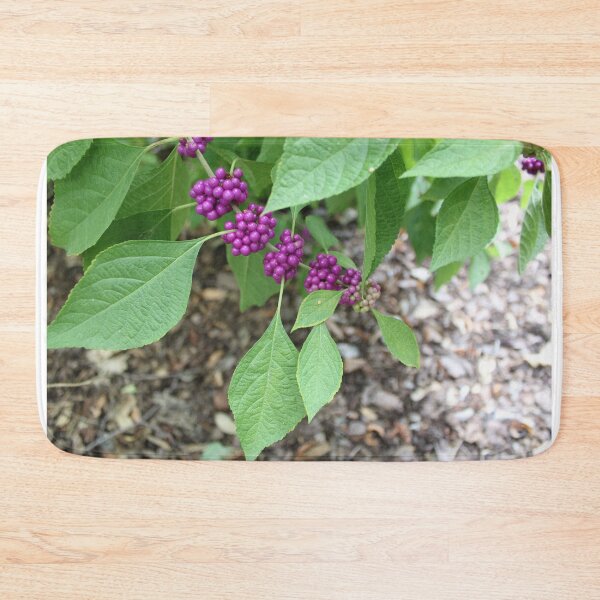 Item preview, Purple Berries of the American Beautyberry Shrub designed and sold by Silver Sky by Janet.