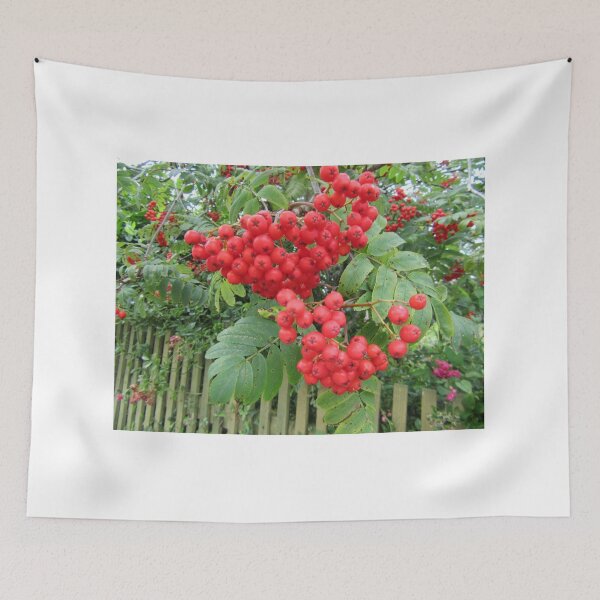 Item preview, Rowan Berries In August designed and sold by lezvee.