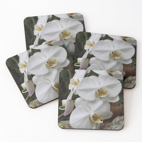 Item preview, White Orchids at the Tennessee Aquarium  designed and sold by Silver Sky by Janet.