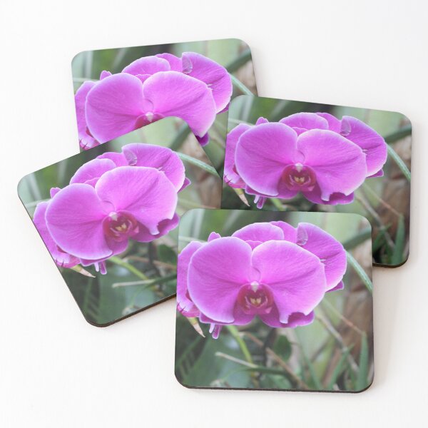 Item preview, Imperial Purple Orchid at Tennessee Aquarium  designed and sold by Silver Sky by Janet.