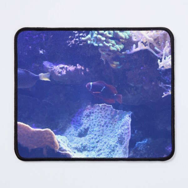 Item preview, Clownfish in the Tennessee Aquarium  designed and sold by Silver Sky by Janet.