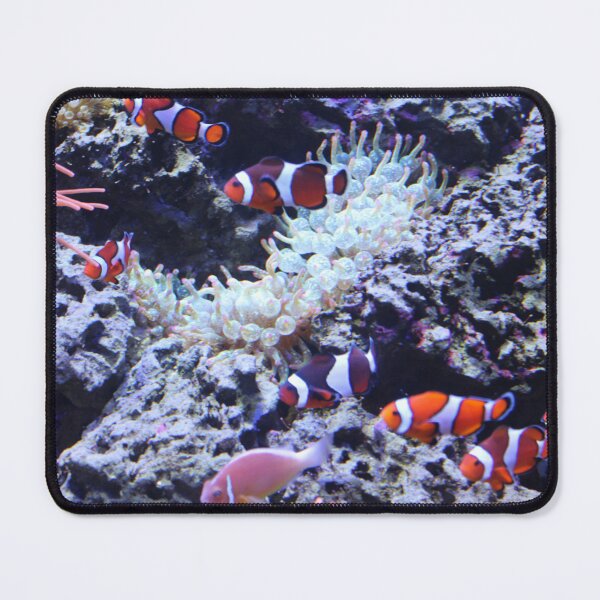 Item preview, Ocellaris Clownfish in Tennessee Aquarium designed and sold by Silver Sky by Janet.