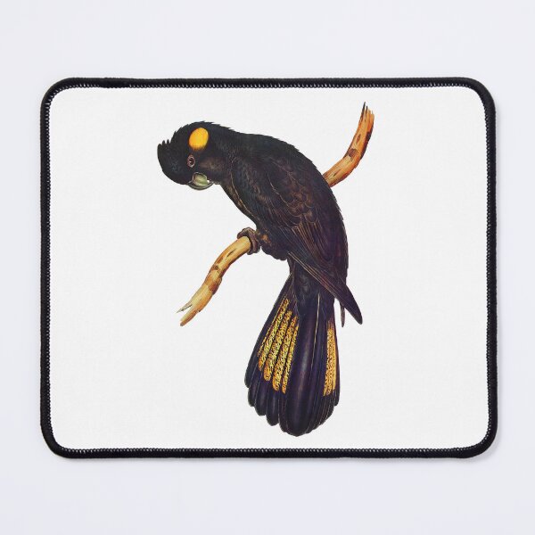 Item preview, Yellow tailed Black Cockatoo - Vintage Illustration - John Gould designed and sold by karwilberevivalcollection.
