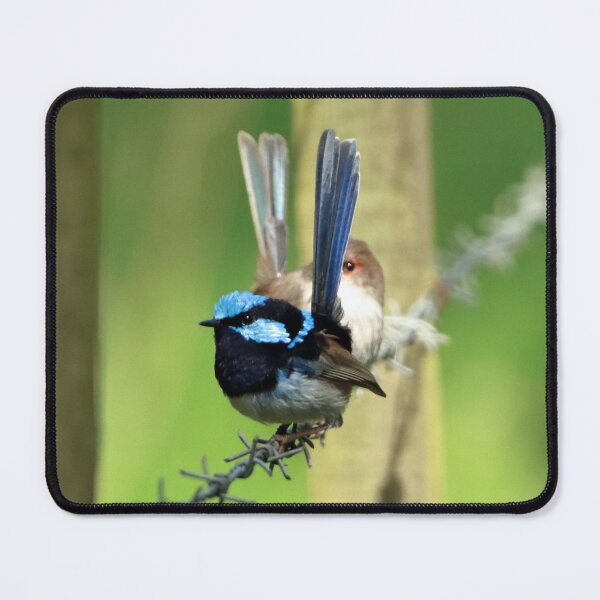 Item preview, Just Wrens designed and sold by Simon  King.