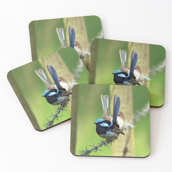 Item preview, Just Wrens designed and sold by Simon  King.