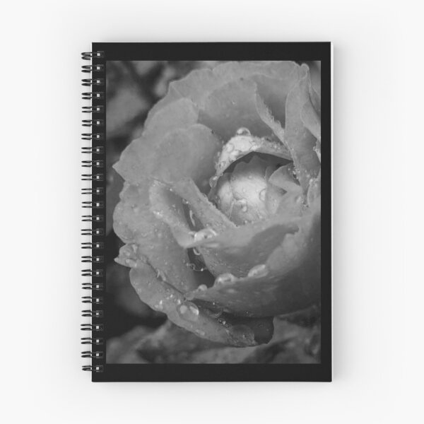 Item preview, Rose After the Rain, Monochromatic  designed and sold by Grey Robinson.