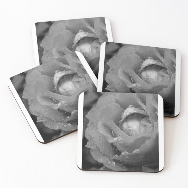 Item preview, Rose After the Rain, Monochromatic  designed and sold by Grey Robinson.
