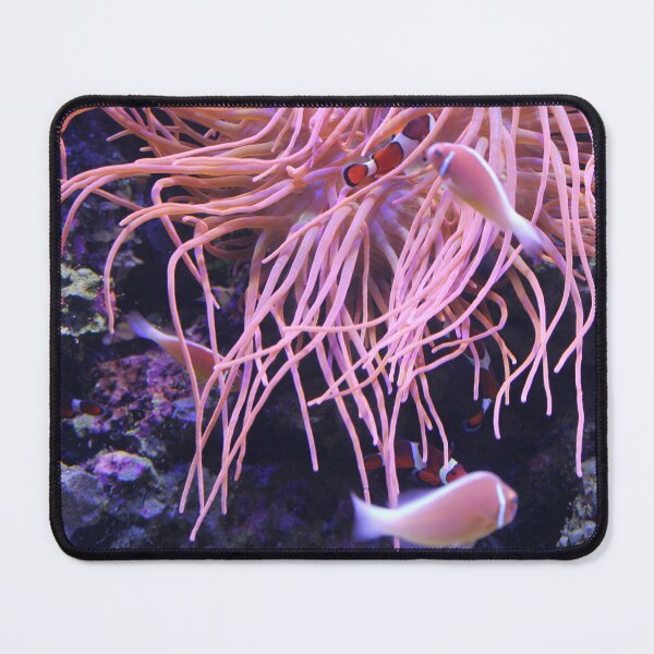 Item preview, Sea Anemone and Clownfish of the Tennessee Aquarium  designed and sold by Silver Sky by Janet.