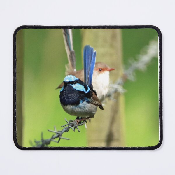 Item preview, Just Wrens 2 0599 designed and sold by Simon  King.