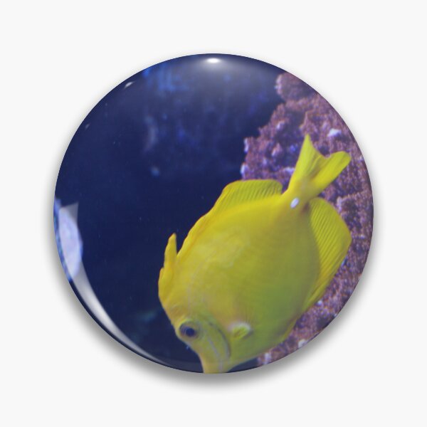 Item preview, Yellow Tang at the Tennessee Aquarium  designed and sold by Silver Sky by Janet.