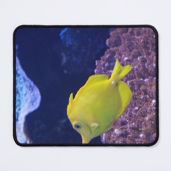 Item preview, Yellow Tang at the Tennessee Aquarium  designed and sold by Silver Sky by Janet.