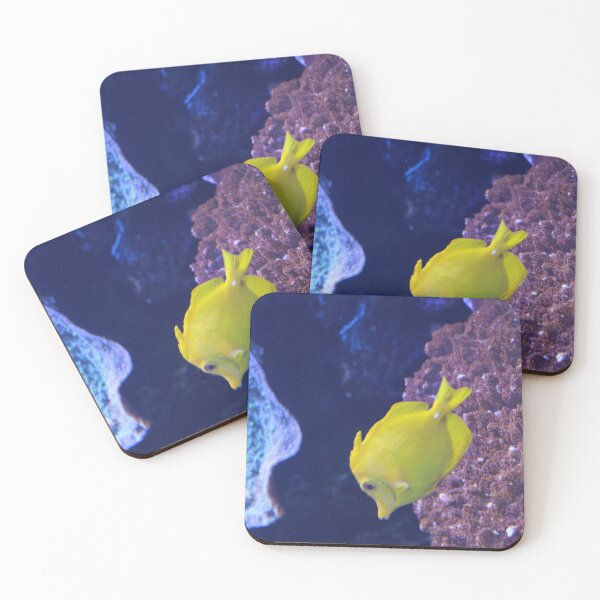 Item preview, Yellow Tang at the Tennessee Aquarium  designed and sold by Silver Sky by Janet.