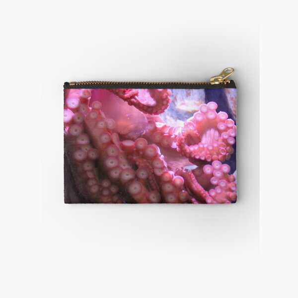 Item preview, Octopus Holding a Jar at Tennessee Aquarium  designed and sold by Silver Sky by Janet.