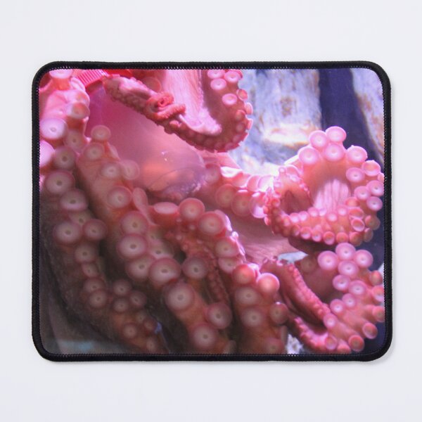 Item preview, Octopus Holding a Jar at Tennessee Aquarium designed and sold by Silver Sky by Janet.