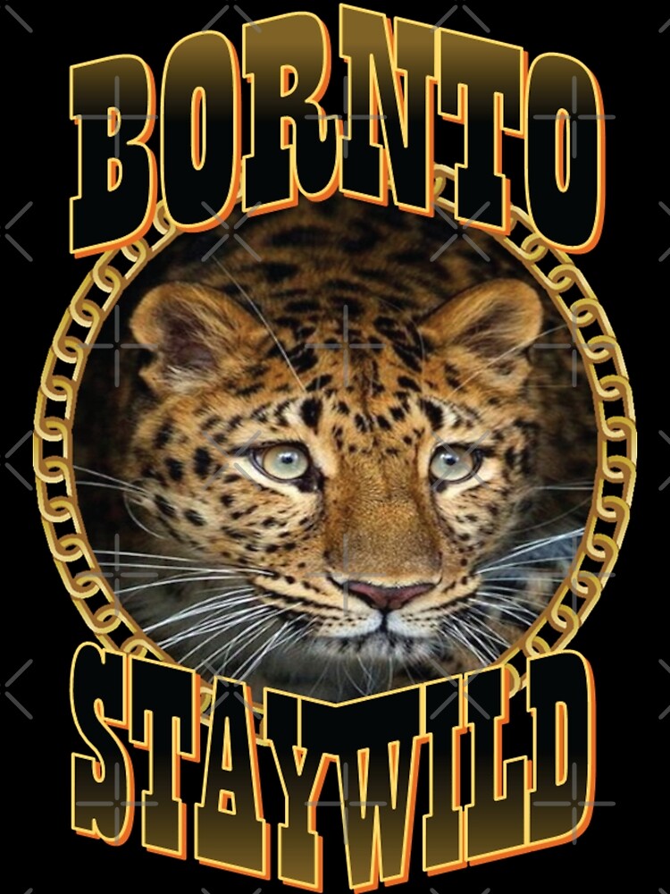 Ben Alzert "ben alzert, stay wild ben azelart, stay wild ben azelart website