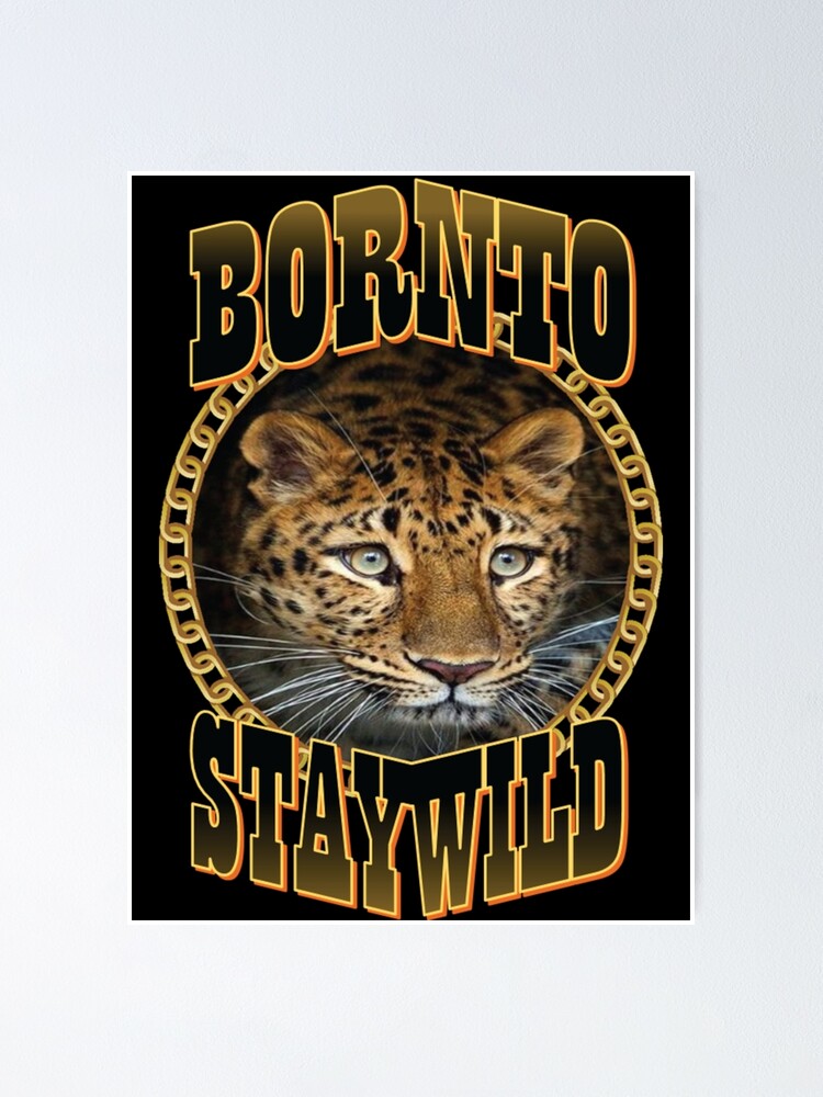 Ben Alzert "ben alzert, stay wild ben azelart, stay wild ben azelart website