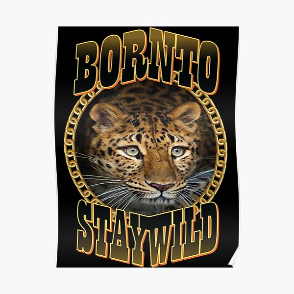 Ben Alzert "ben alzert, stay wild ben azelart, stay wild ben azelart website