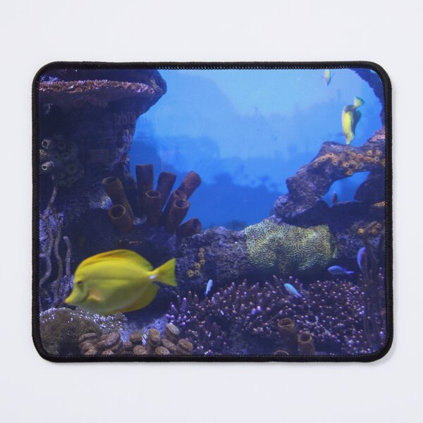 Item preview, Tropical Fish at the Coral Reef in Tennessee Aquarium designed and sold by Silver Sky by Janet.