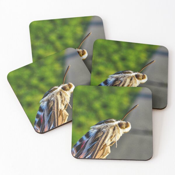 Item preview, Barn Moth  designed and sold by OnigiriSuiko.