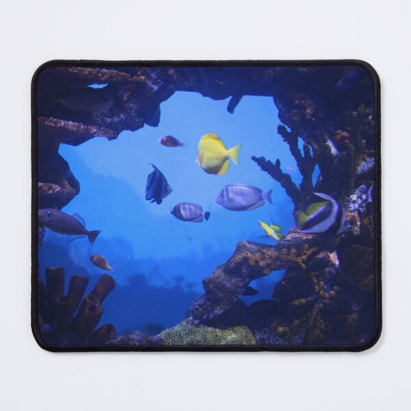 Item preview, Tropical Fish in the Tennessee Aquarium designed and sold by Silver Sky by Janet.