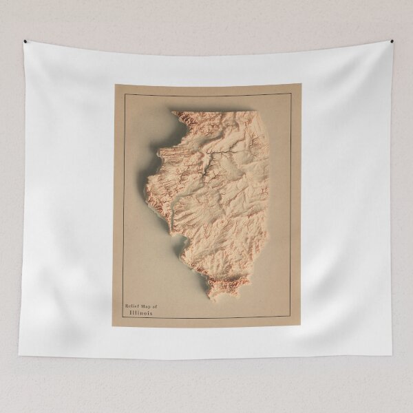 Item preview, Illinois Shaded Relief Map 3D digitally-rendered designed and sold by ThinkAboutMaps.