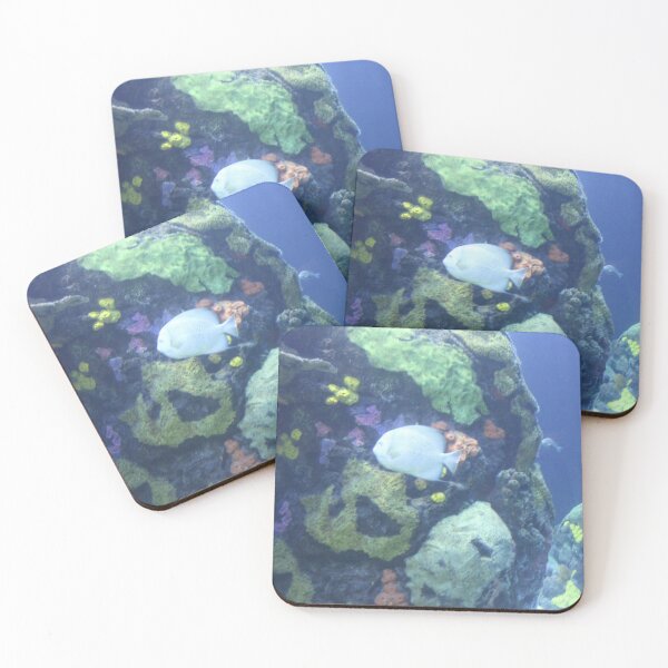 Item preview, Fish in the Reef at the Tennessee Aquarium  designed and sold by Silver Sky by Janet.