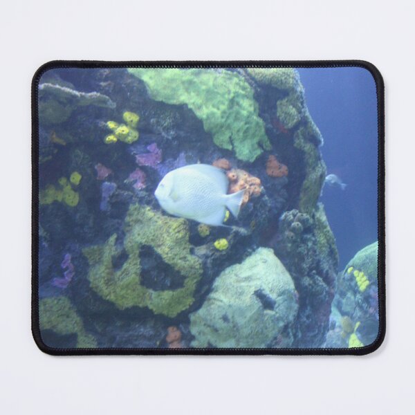 Item preview, Fish in the Reef at the Tennessee Aquarium designed and sold by Silver Sky by Janet.